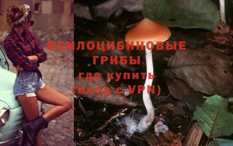 Галлюциногенные грибы Magic Shrooms  omg ONION  Тюкалинск 